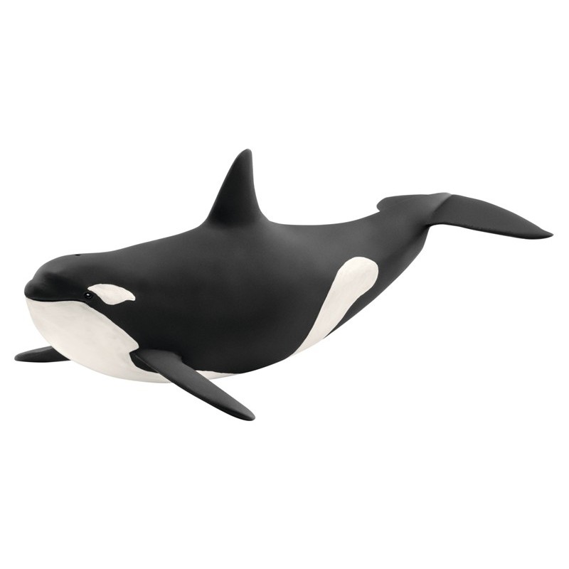 Orca (Wild Life) di Schleich Wild Life
