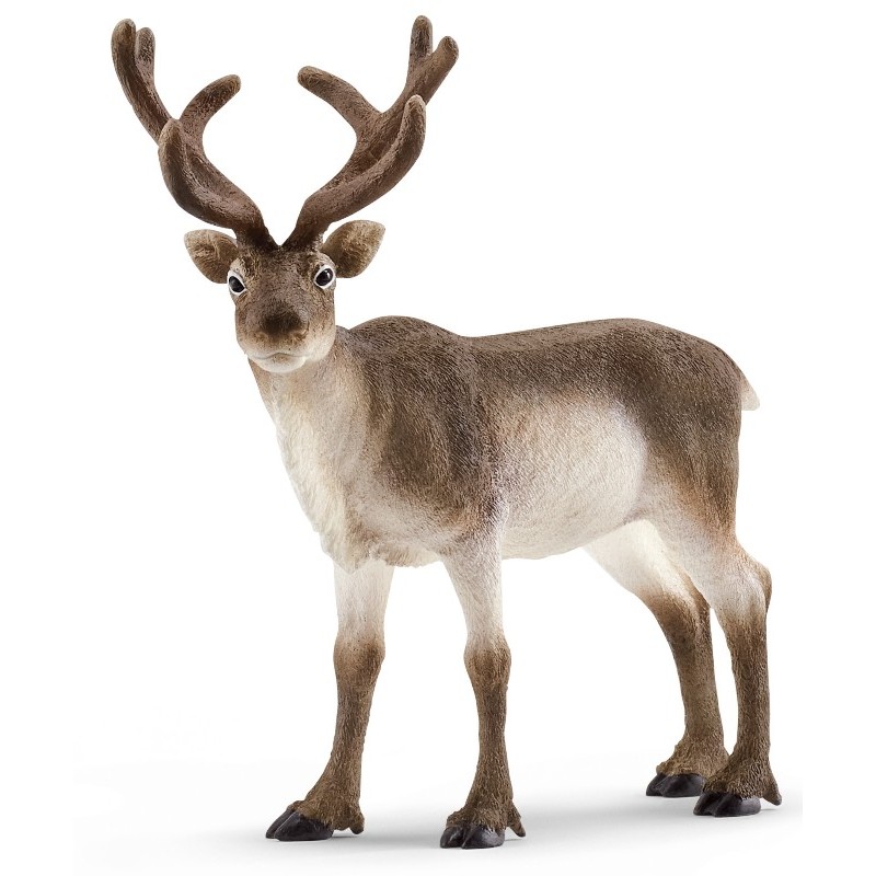 Renna (Wild Life - Price Grey) di Schleich Wild Life