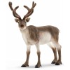 Renna (Wild Life - Price Grey) di Schleich Wild Life
