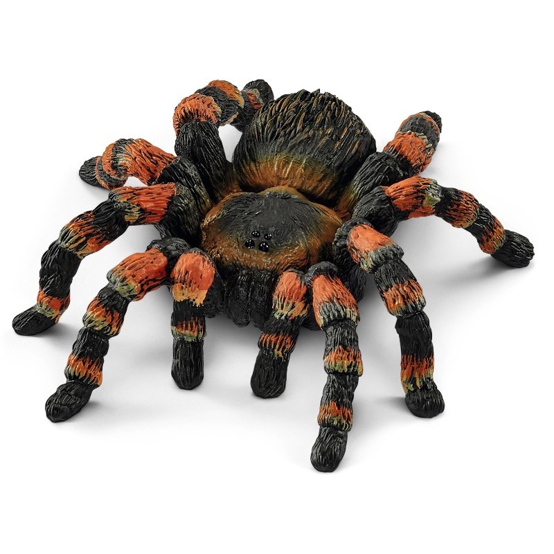 Tarantola (Wild Life - Price Red) di Schleich Wild Life
