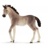 Puledro Andaluso (Horse Club - Price Red) di Schleich Horse Club