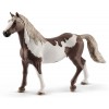 Castrone Paint Horse (Horse Club - Price Grey) di Schleich Horse Club