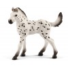 Puledro Knabstrupper (Horse Club - Price Red) di Schleich Horse Club
