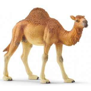 Dromedario (Wild Life - Price Grey) di Schleich Wild Life