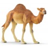 Dromedario (Wild Life - Price Grey) di Schleich Wild Life