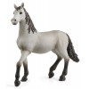 Puledro di Pura Razza Spagnola (Horse Club - Price Yellow) di Schleich Horse Club