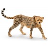 Femmina di Ghepardo (Wild Life - Price Yellow) di Schleich Wild Life