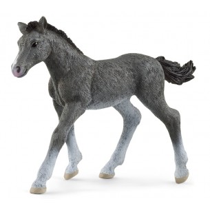 Puledro Trakehner (Horse Club - Price Red) di Schleich Horse Club
