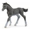 Puledro Trakehner (Horse Club - Price Red) di Schleich Horse Club