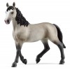 Giumenta Cheval De Selle Francais (Horse Club - Price Grey) di Schleich Horse Club