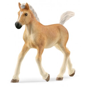 Puledro Avelignese (Horse Club - Price Red) di Schleich Horse Club