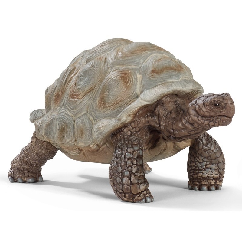 Tartaruga Gigante (Wild Life - Price Red) di Schleich Wild Life