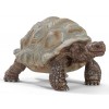 Tartaruga Gigante (Wild Life - Price Red) di Schleich Wild Life