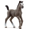 Puledro Cheval De Selle Francais (Horse Club - Price Red) di Schleich Horse Club