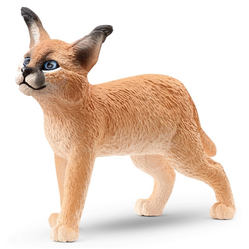 Cucciolo di Caracal (Wild Life - Price Green) di Schleich Wild Life