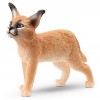Cucciolo di Caracal (Wild Life - Price Green) di Schleich Wild Life