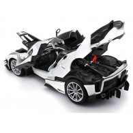 1/18 Fxx K Evo R&P di Bburago