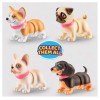 Booty Shakin Pups S1,16pcs/Pdq di Zuru Pets Alive
