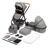 Multifunctional Stroller Amber (Lo-Amber-2in1-Grey-Stone) di Lionelo Passeggini
