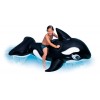 Cavalcabile Orca Cm 188x122 di Intex