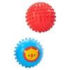 Fp 2 Baby Palline Sensoriali di Mattel Fisherprice