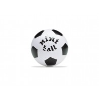 Pallone 140 Mini Ball Diam. 140mm Gonfio con Retina di Mondo