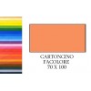Facolore 70x100 Aragosta (10ff) 200g/M2 di Fedrigoni Spa