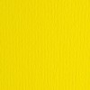 Elle-Erre 70x100 Giallo (10ff) 220g/M2 di Fedrigoni Spa