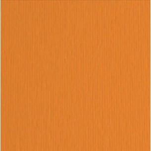 Elle-Erre 70x100 Arancio (10ff) 220g/M2 di Fedrigoni Spa