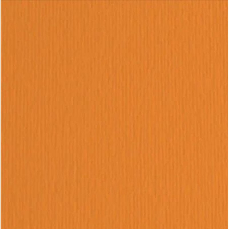 Elle-Erre 70x100 Arancio (10ff) 220g/M2 di Fedrigoni Spa