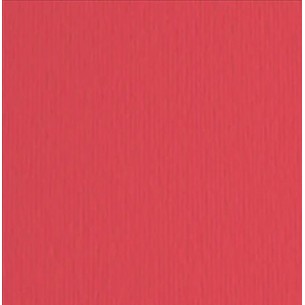 Elle-Erre 70x100 Rosso (10ff) 220g/M2 di Fedrigoni Spa