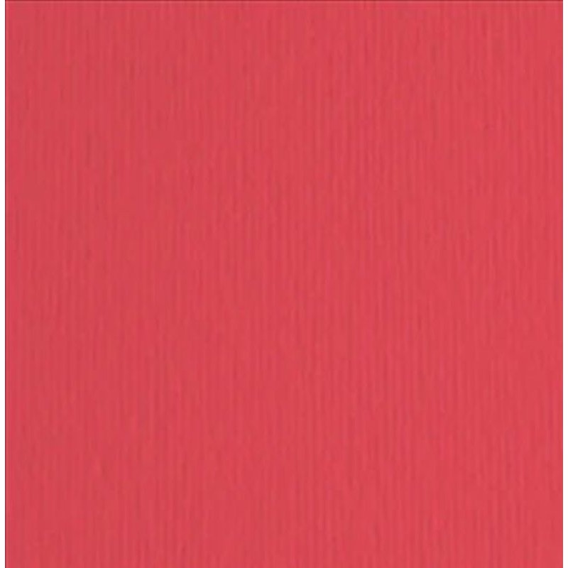 Elle-Erre 70x100 Rosso (10ff) 220g/M2 di Fedrigoni Spa