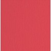 Elle-Erre 70x100 Rosso (10ff) 220g/M2 di Fedrigoni Spa
