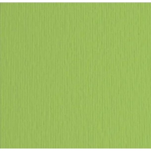 Elle-Erre 70x100 Verde Pisello (10ff) 220g/M2 di Fedrigoni Spa