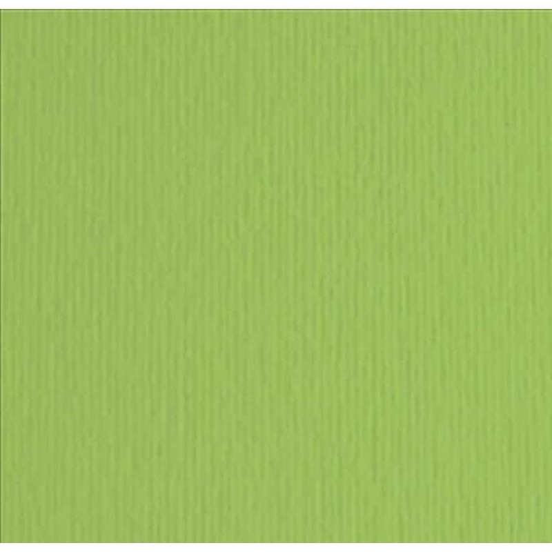 Elle-Erre 70x100 Verde Pisello (10ff) 220g/M2 di Fedrigoni Spa