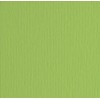 Elle-Erre 70x100 Verde Pisello (10ff) 220g/M2 di Fedrigoni Spa
