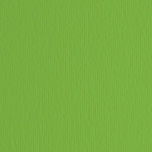 Elle-Erre 70x100 Verde (10ff) 220g/M2 di Fedrigoni Spa