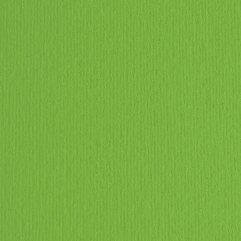 Elle-Erre 70x100 Verde (10ff) 220g/M2 di Fedrigoni Spa