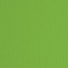 Elle-Erre 70x100 Verde (10ff) 220g/M2 di Fedrigoni Spa