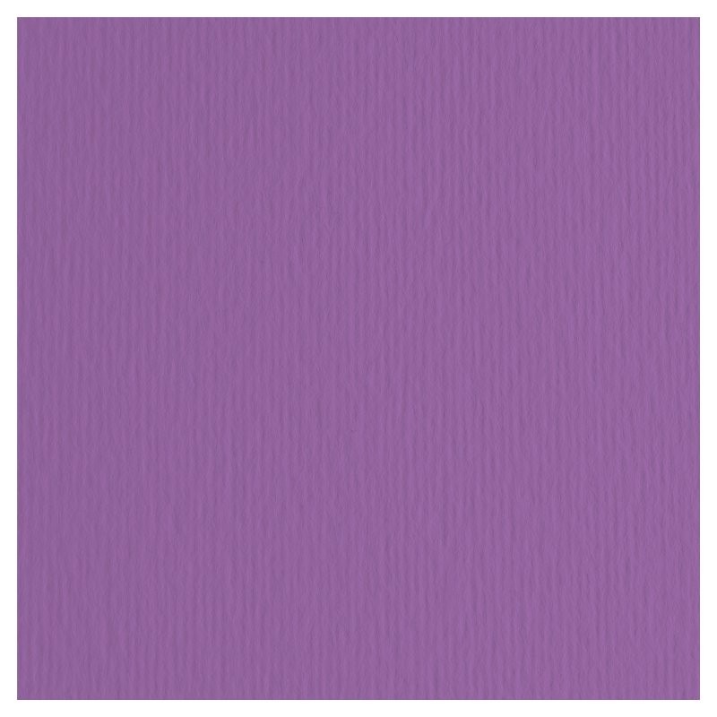 Elle-Erre 70x100 Viola (10ff) 220g/M2 di Fedrigoni Spa