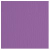 Elle-Erre 70x100 Viola (10ff) 220g/M2 di Fedrigoni Spa