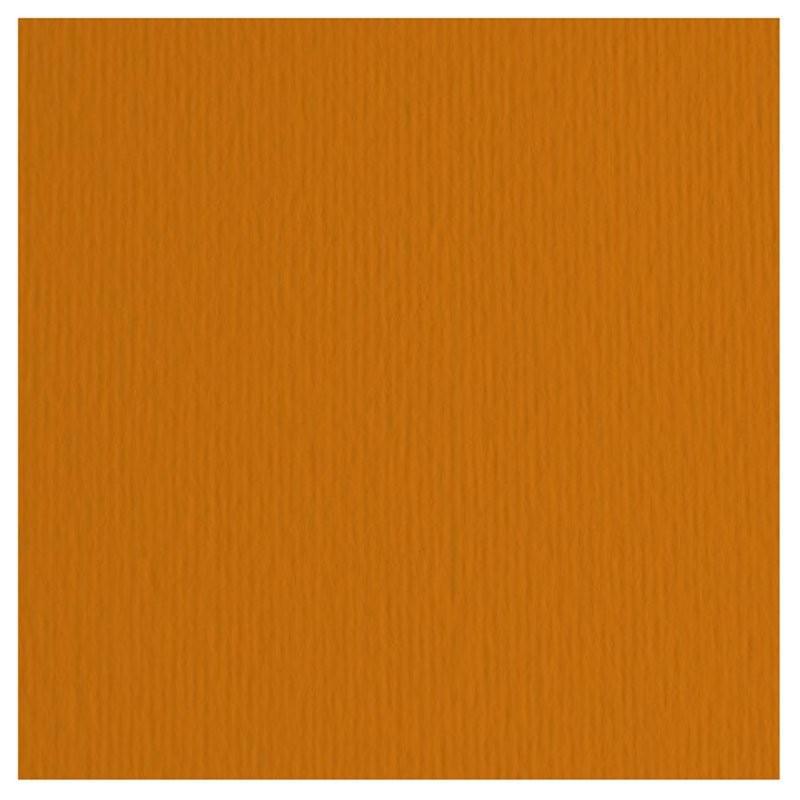 Elle-Erre 70x100 Terra Bruciata (10ff) 220g/M2 di Fedrigoni Spa