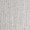 Cartacrea 35x50 Perla (10ff) 220g/M2 di Fedrigoni Spa