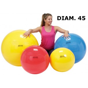 Palla Ginnastica 45 9545 di Ledraplastic