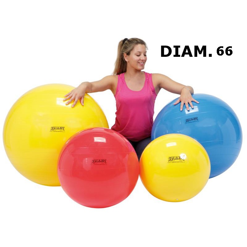 Palla Ginnastica 66 9565 di Ledraplastic