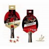 Racchetta 4 Stars Ittf Approved di Mandelli