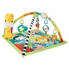 Palestrina Sensoriale Cuccioli della Natura 3 in 1 di Mattel Fisherprice