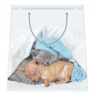 Shopper Cuccioli F.To 31,5x45x12 Xl di Marpimar