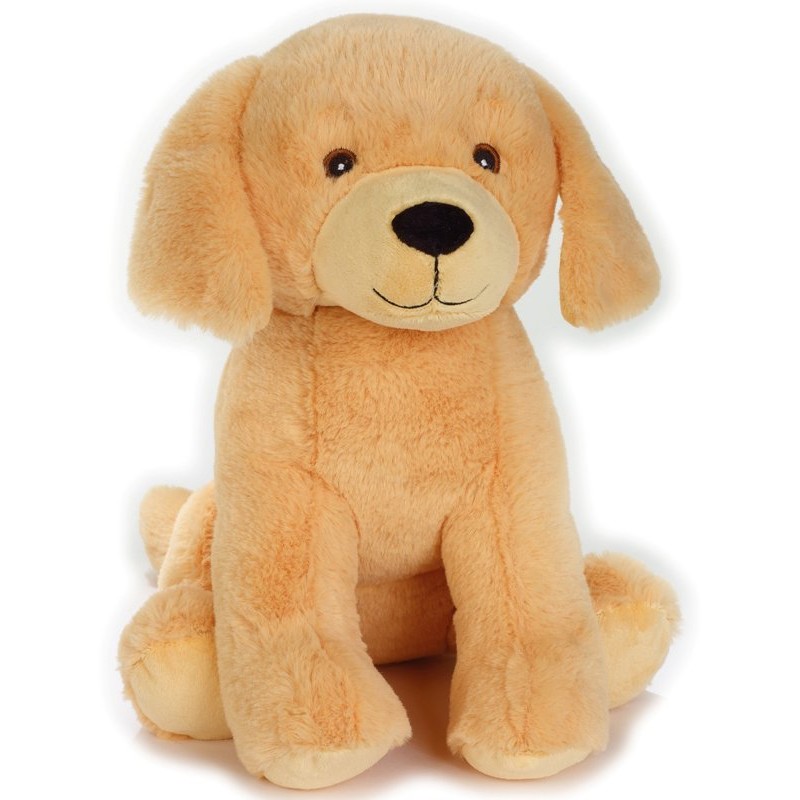 Golden Retriever Grande Grs di Venturelli