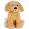Golden Retriever Grande Grs di Venturelli